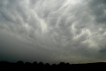 Eifelmammatus0507 034K.jpg